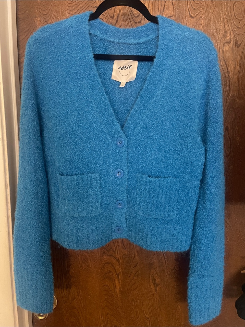 aerie Bright Blue Fuzzy V‑Neck Button Cardigan